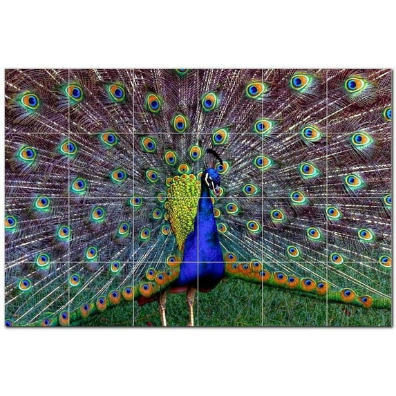 Bird Picture Ceramic Tile Mural Kitchen Backsplash Bathroom Shower, 404155-XL64