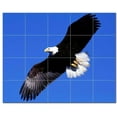 thumbnail image 1 of Bird Picture Ceramic Tile Mural Kitchen Backsplash Bathroom Shower, 404157-M54, 1 of 3