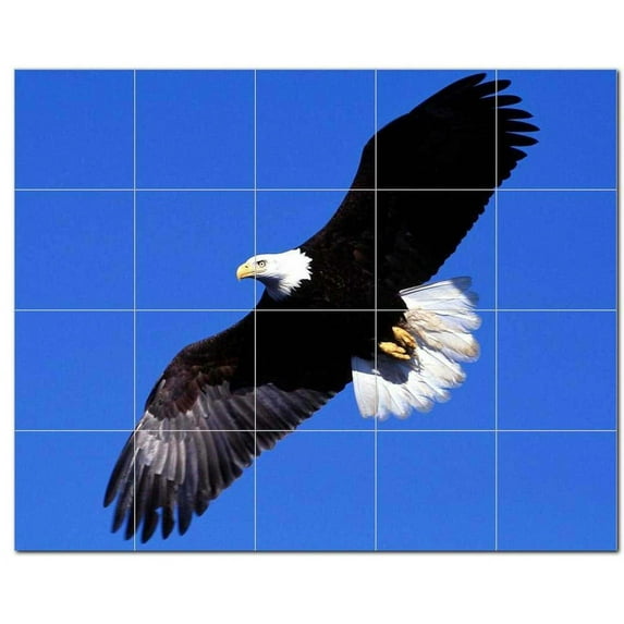 Bird Picture Ceramic Tile Mural Kitchen Backsplash Bathroom Shower, 404157-XL54