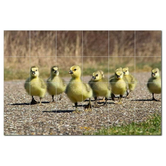 Bird Picture Ceramic Tile Mural Kitchen Backsplash Bathroom Shower, 404159-XL64