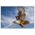 thumbnail image 1 of Bird Picture Ceramic Tile Mural Kitchen Backsplash Bathroom Shower, 404164-L64, 1 of 3