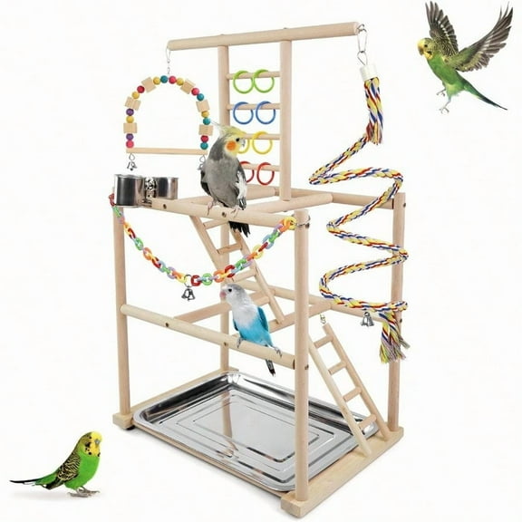 Bird Playground Parrots Playstand For Small To Medium Birds Perch Stand With 3 Ladders Playgym With Rope Perch Swings Feeder Cups Bird Cage Accessories For Conure Cockatiel Lovebirds