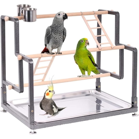 Bird Playground, Playstand for Small to Large Birds with Collapsible Metal Frame, Heavy Duty Quick-Install No Tool Request, 4 Standing Perch, 2 ladders and 2 Bird Cups