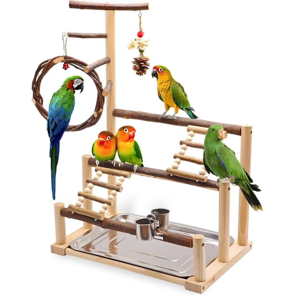 Bird Playground Wooden Parrot Stand for Small and Medium Birds | Feeding Cups, Apple Branch Swing, Chew Toys, Removable Tray, Ideal for Parakeets, Budgerigars, Canaries, Cockatiels