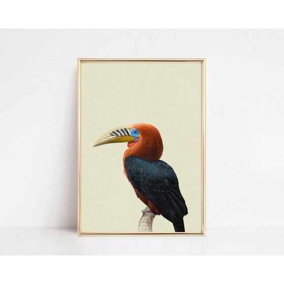Bird Print Bird Wall Art Bird Art Colorful Home Decor Eclectic Wall Art Boho Art Print Trendy Decor Wall Art, Modern Wall Decor, 24x36 UNFRAMED