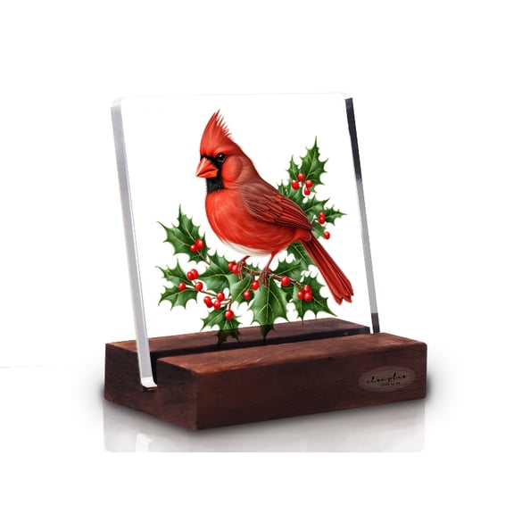 Bird Printed Acrylic Desk Plaque With Wood Stand Gifts for Christmas and Valentine's Day,Customized Acrylic Sign Desk Decor Gift for Family Friends Sisters