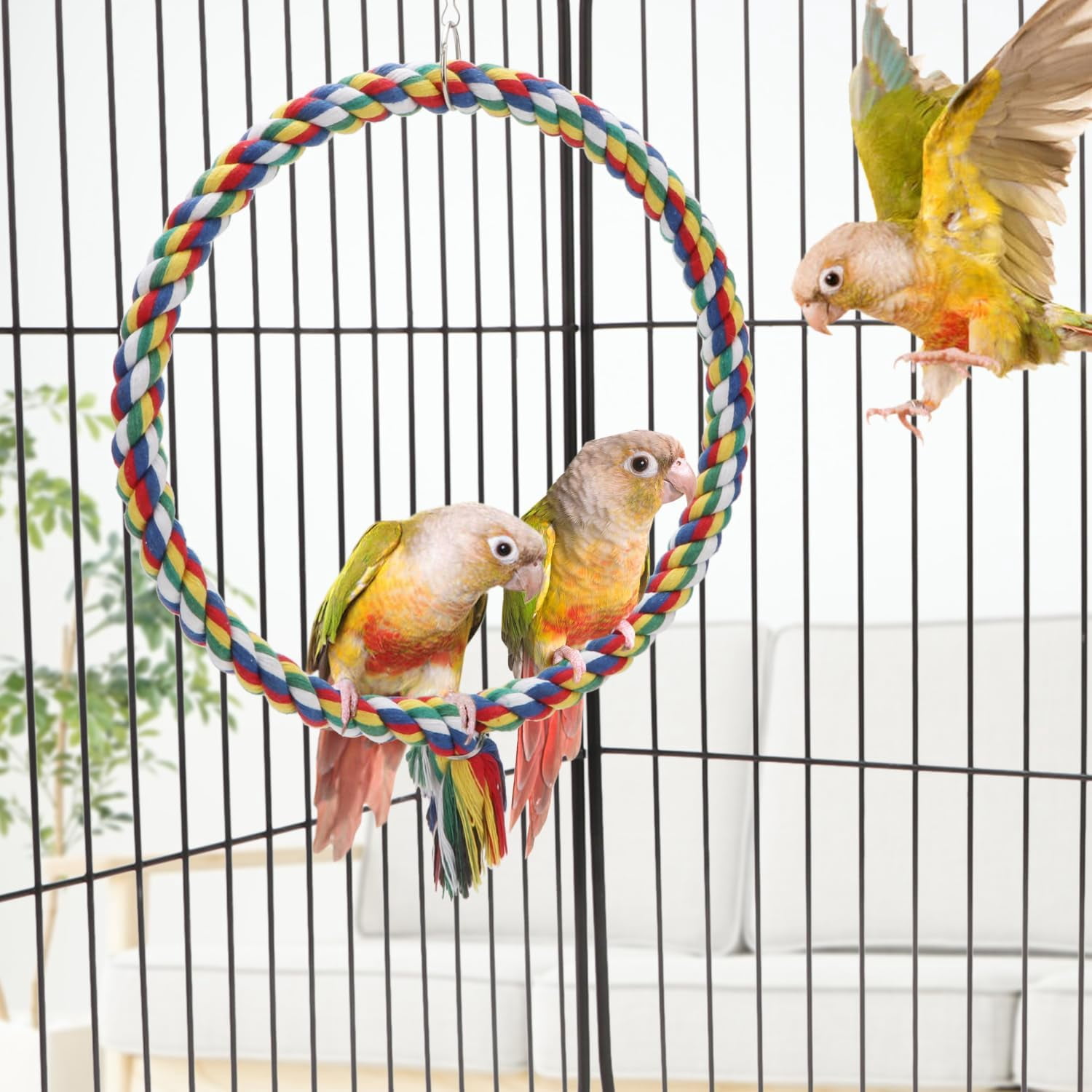 Bird Rope Swing Colorful Perch Climbing Toy for Parrots Budgie Parakeet Cockatiel Cockatoo Conure