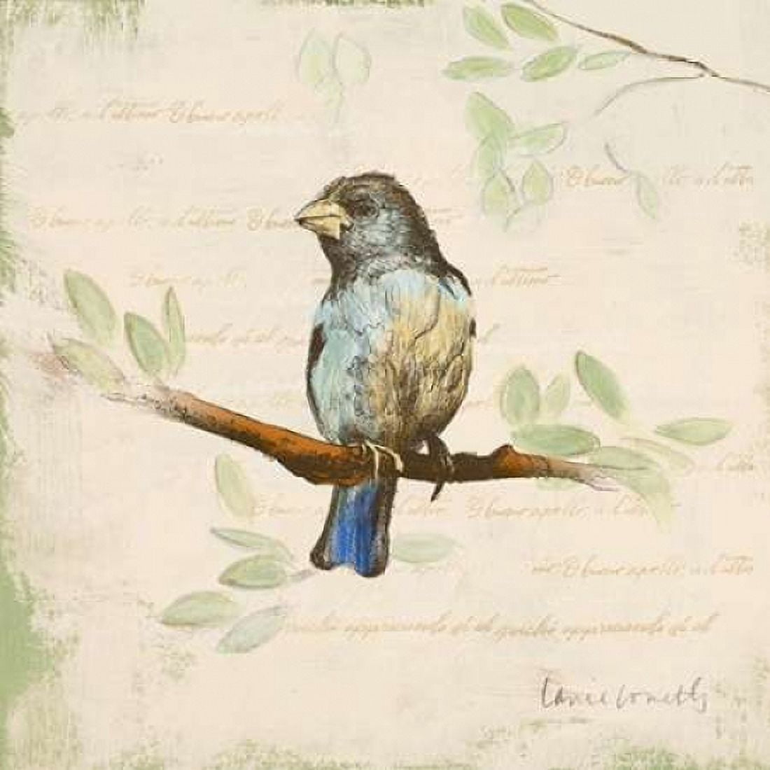 Bird Scene II Canvas Art - Lanie Loreth (24 x 24)