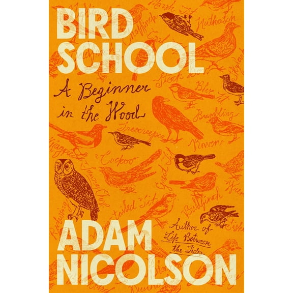 Bird School: A Beginner in the Wood, (Hardcover)