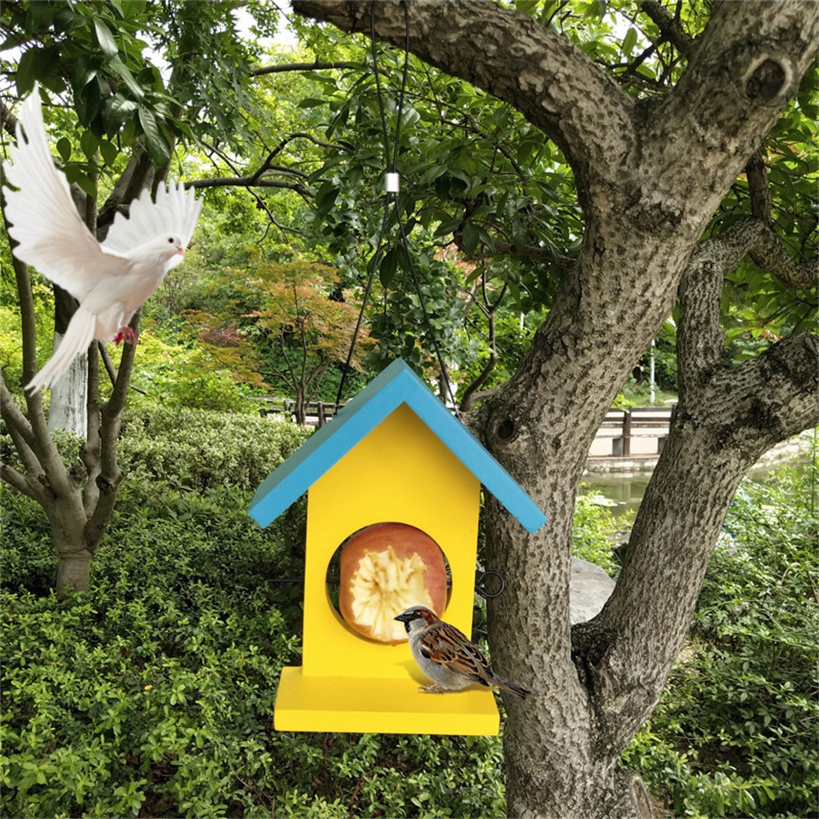 Bird for Outside Feeders Hummingbird Feeders for Outdoors Hanging Ant