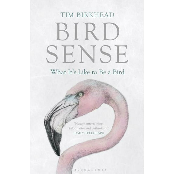 Bird Sense : What It's Like to Be a Bird (Hardcover)