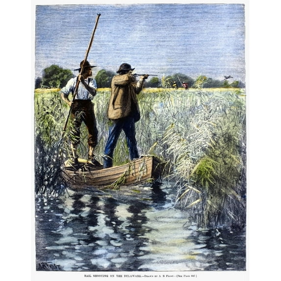 Bird Shooting 1890. N'Rail Shooting On The Delaware.' Line Engraving 1890 After A Drawing By Arthur Burdett Frost.