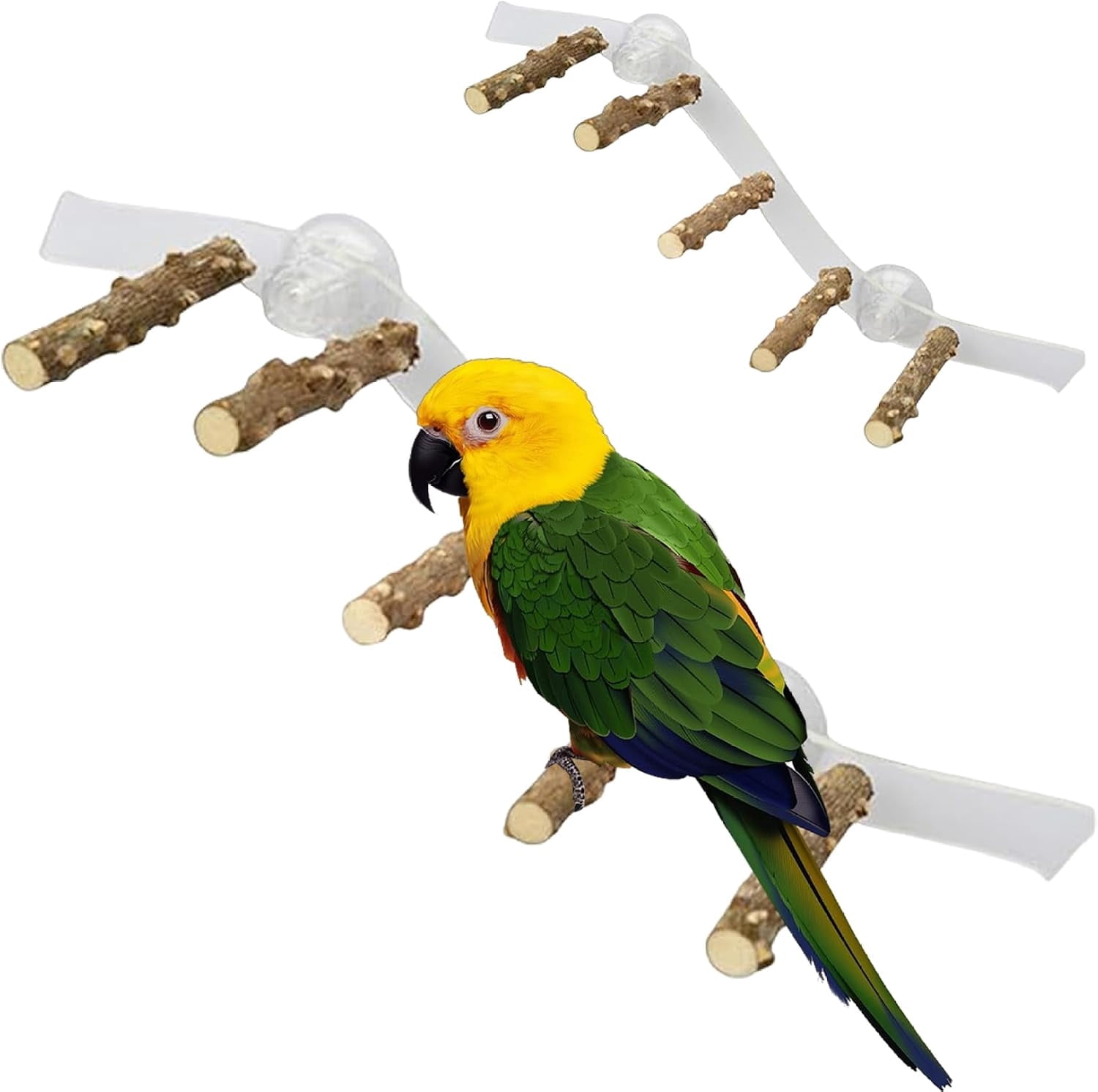 Bird Shower Perch, Wooden Window Perch Toy with Suction Cup, Climbing ...