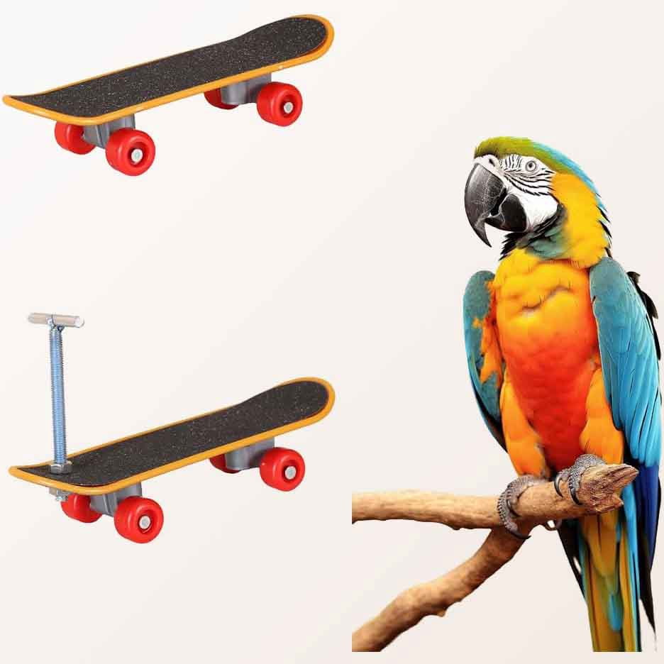 Bird Skateboard, Bird Toys for Parrot, Training Toys