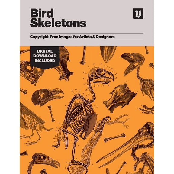 Bird Skeletons: Copyright-Free Images for Artists & Designers, (Paperback)