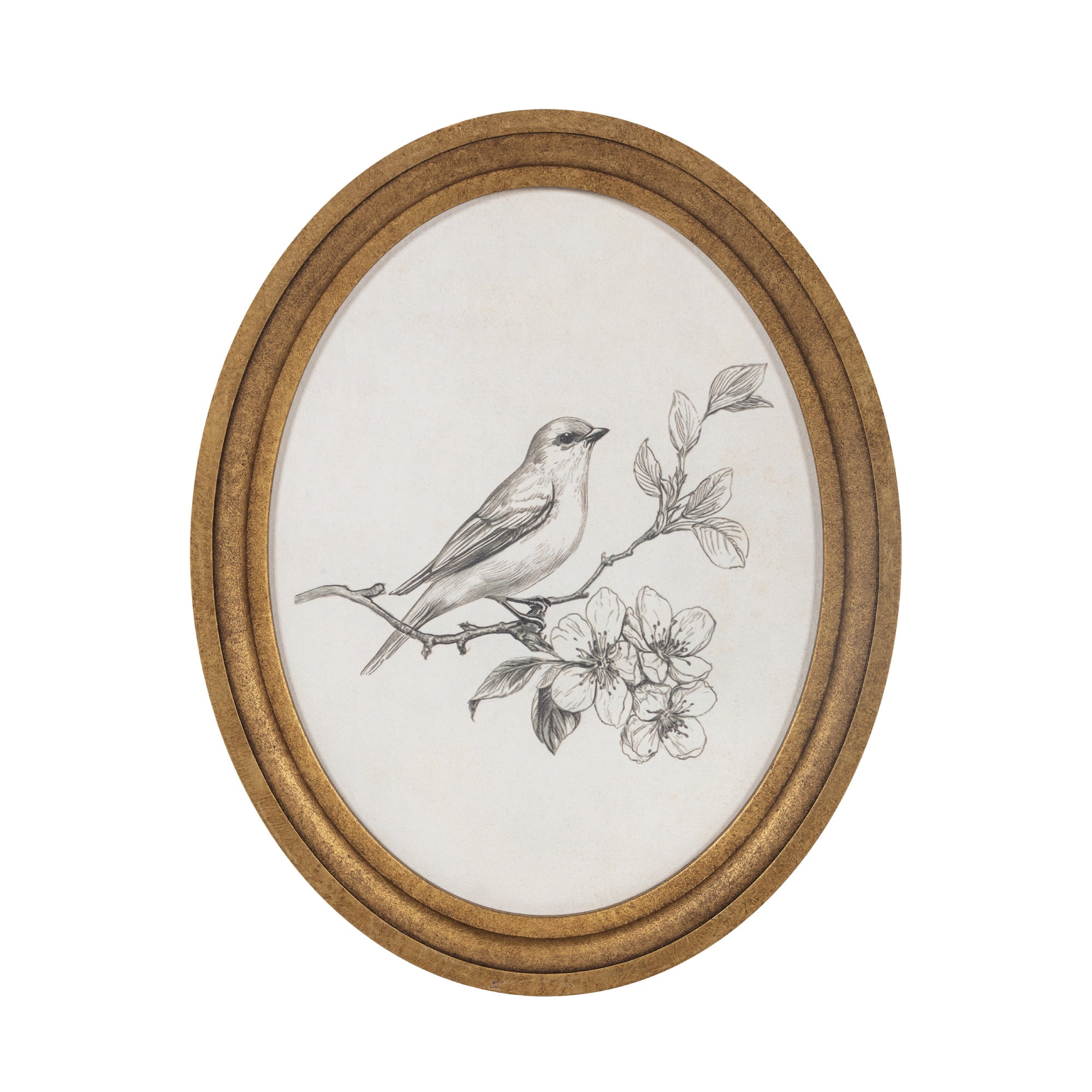 My Texas House Bird Sketch Round Embossed Textured Framed Antique Canvas Art 11x14