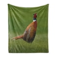 thumbnail image 1 of Bird Soft Flannel Fleece Throw Blanket, Common Pheasant Long Tail on the Grass Meadow Habitat Czech Republic European, Cozy Plush for Indoor and Outdoor Use, 50" x 60", Green Orange Red, by Ambesonne, 1 of 5