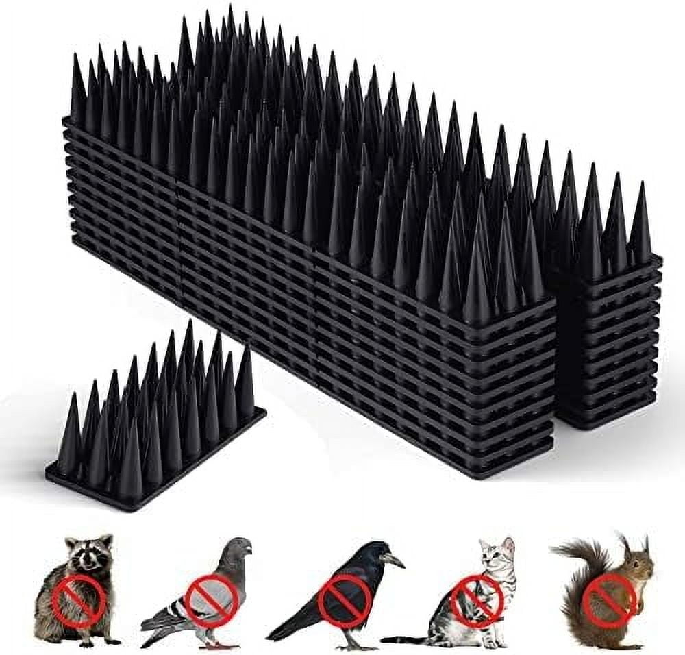 How to Keep Small Birds Away 