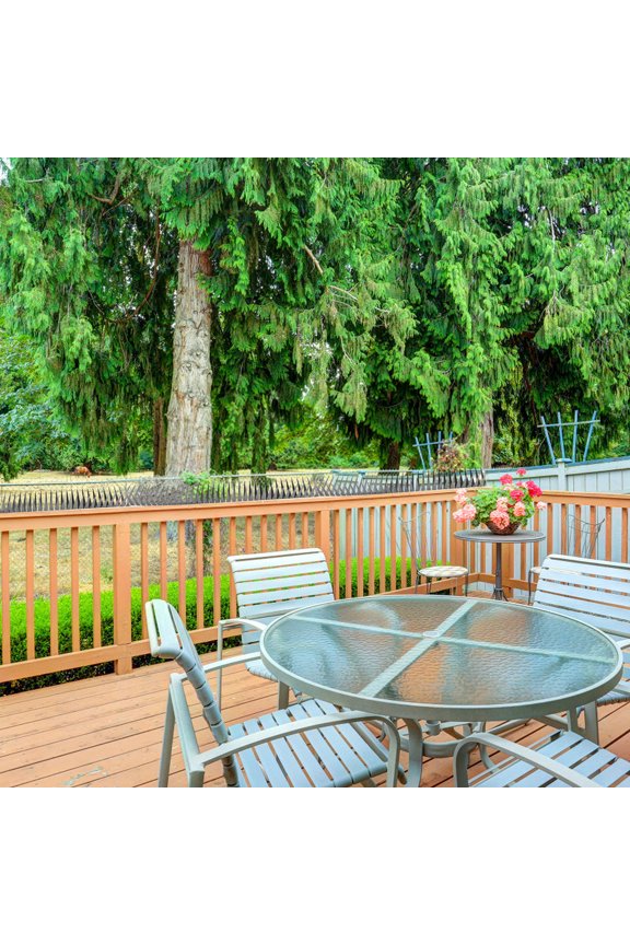 Bird Spikes 2m/4m Bird Defender Spikes Stainless Steel Bird Deterrent Spikes with Gloves and Straps Anti-Bird Nest Fence Spike for Pigeon Small Birds Squirrel Raccoon Cats Crow Outdoor