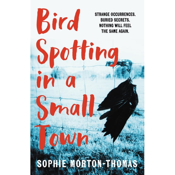 Bird Spotting In A Small Town (Paperback)