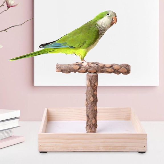 Bird Stand Bird Perch Macaws Cockatoo Conures Bird Playground Parrot Standing Perch Parrot Stand for Training Outdoor Indoor