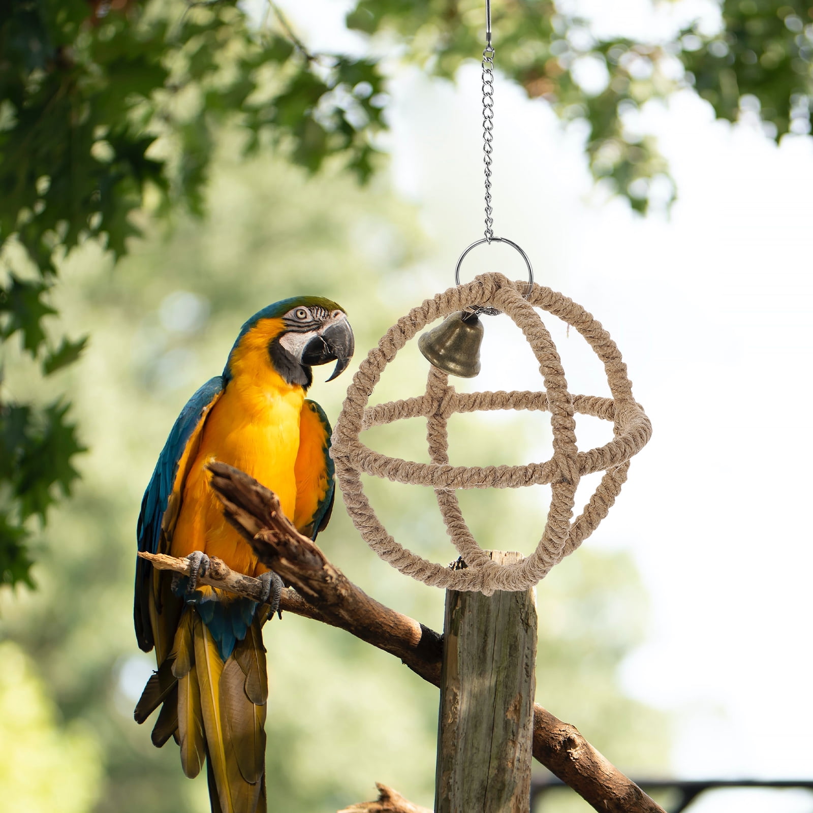 Bird Stand Ring Birdcage Bird Perch Funny Bird Swing Bird Stand for