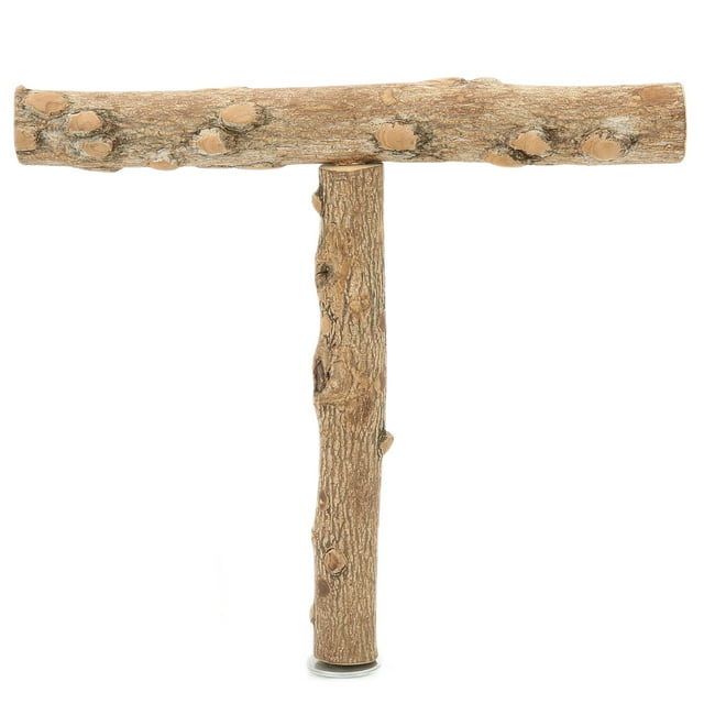 Bird Stand Tabletop Parrots TShaped Training and Playing Stand for