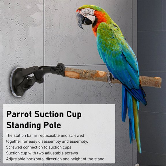 Bird Standing Stick, Wood <span Style="background:red"></span> Perch Adjustable Prevent Slip  For Parakeets