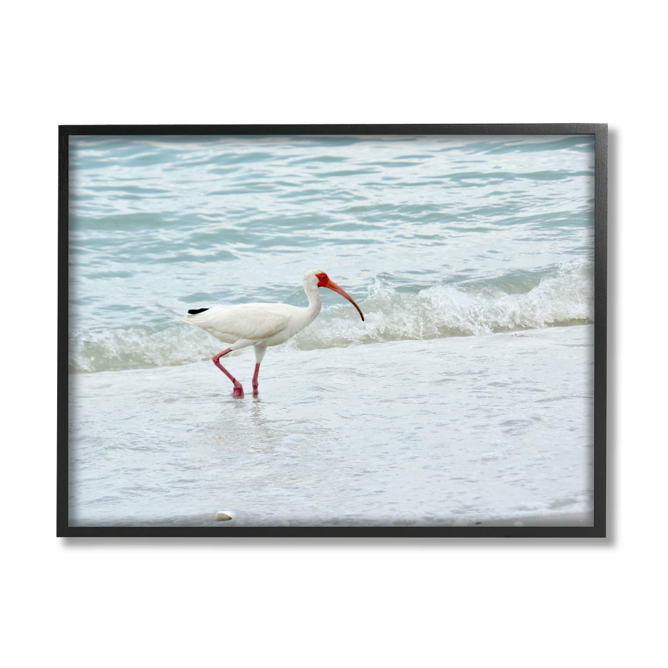Bird Stepping Sea Waves Splash Animals & Insects Photograph Black Framed Art Print Wall Art