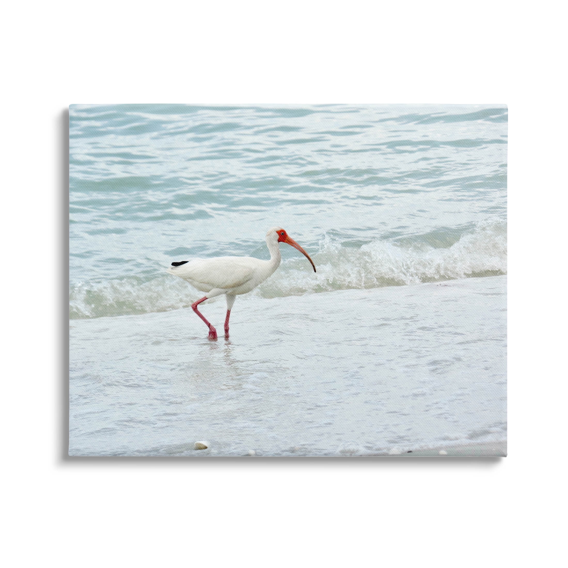 Bird Stepping Sea Waves Splash Animals & Insects Photograph Gallery Wrapped Canvas Print Wall Art