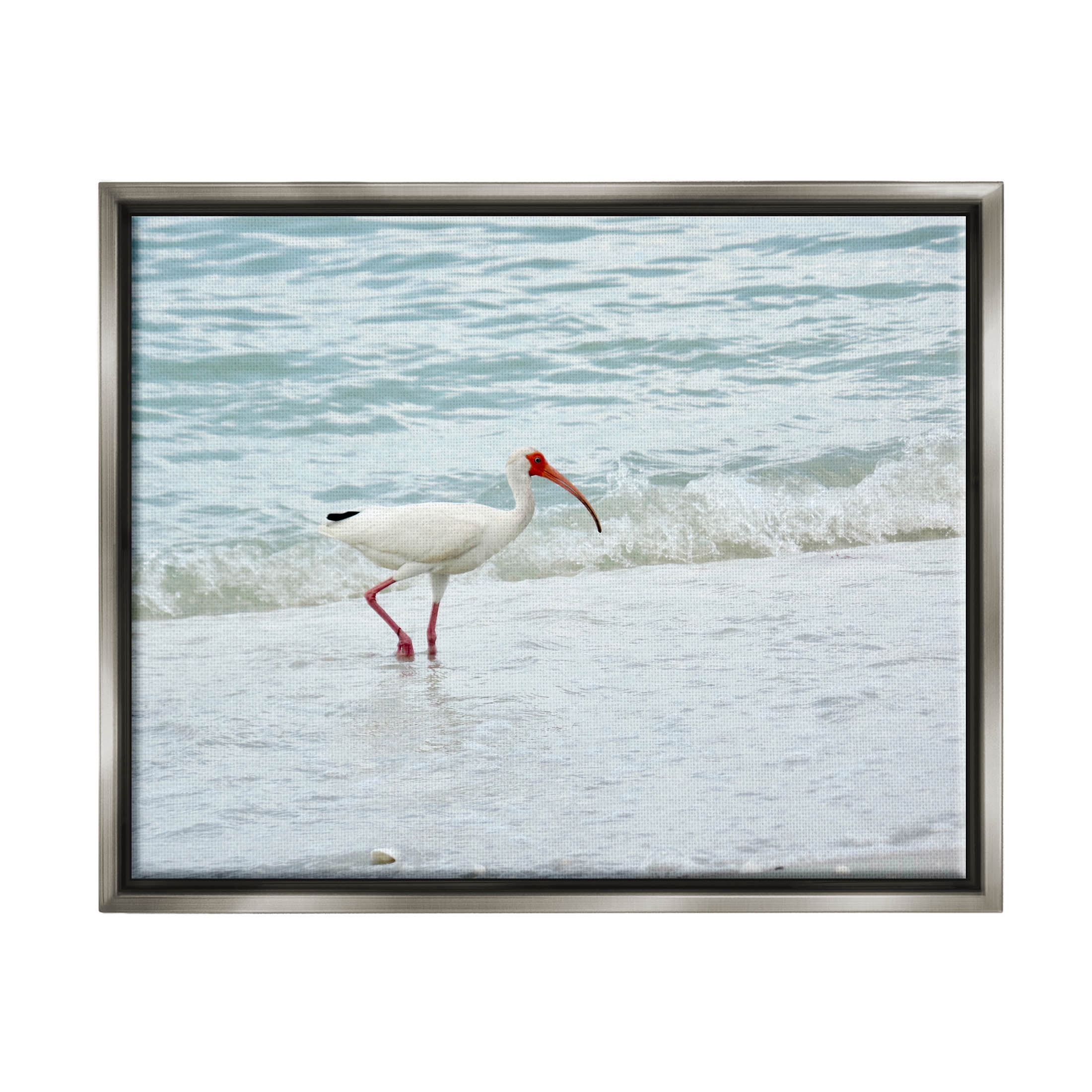 Bird Stepping Sea Waves Splash Animals & Insects Photograph Luster Gray Framed Art Print Wall Art