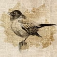 thumbnail image 1 of Bird Study II Poster Print by Lanie Loreth, 1 of 2