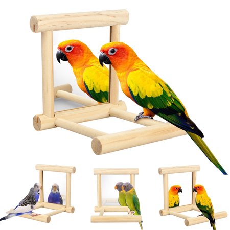 EEEkit Bird Toy, Bird Mirror for Parakeet Cockatoo Cockatiel Conure Lovebird Canaries