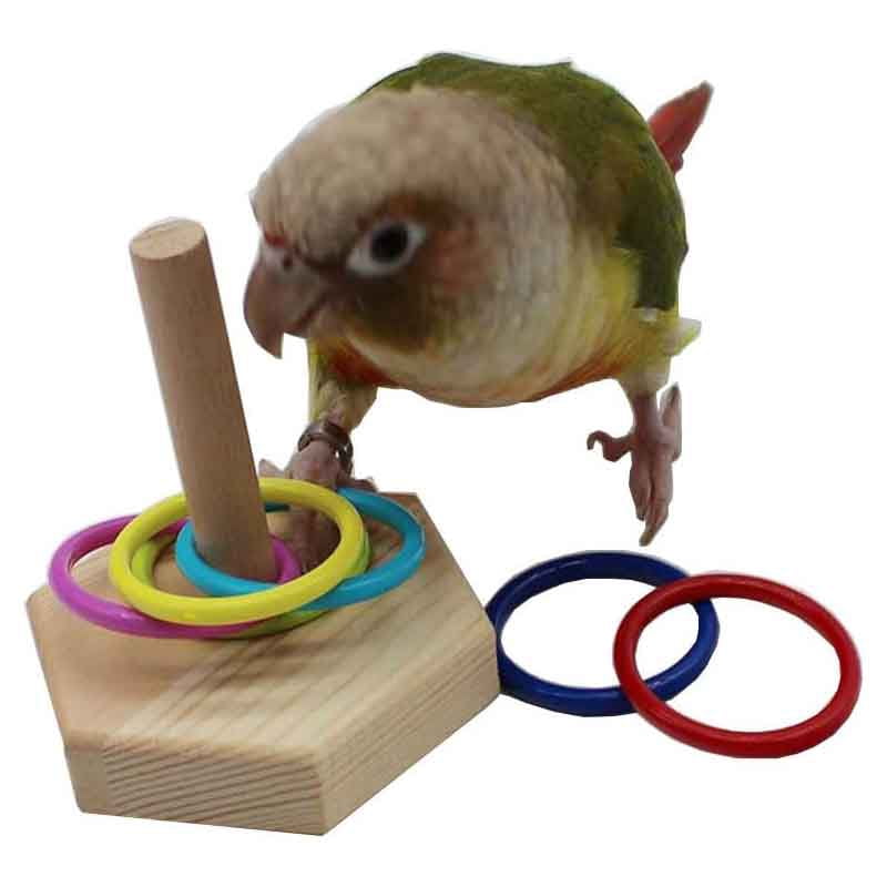 Bird Toys - Training Toys, Color Ring Sets, Chew Ball & Play Gym