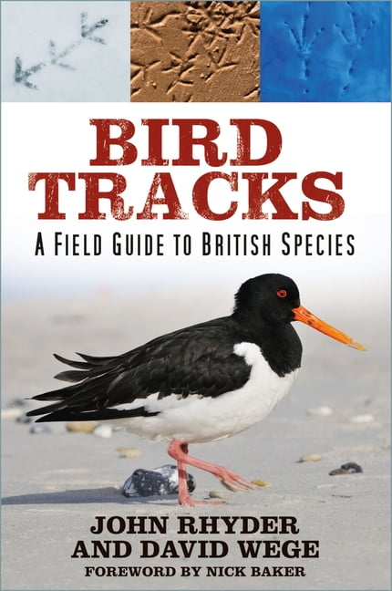 Bird Tracks: A Field Guide to British Species, (Paperback)