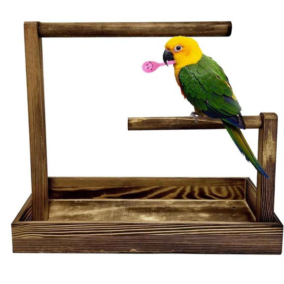 Bird Training Stand Set Portable Tabletop Perch with Disposable Pads Play Gyms Exercise for Budgie Conure Parrot Cockatiel