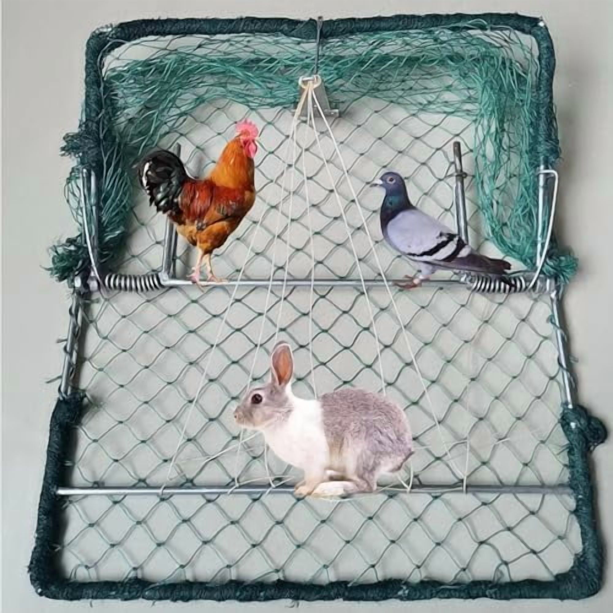 Bird Trap, Pigeon Trap,Dird Net Trap, Live Dove Mousetrap, Rabbit ...
