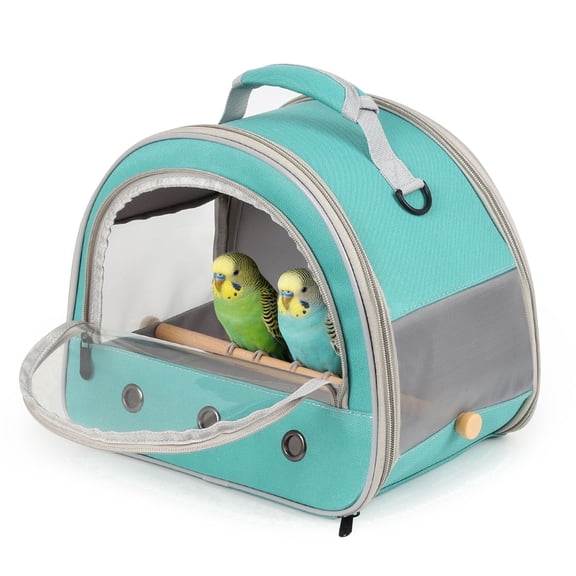 Bird Travel Carrier Cage for Small Parrot Budgies Cockatiel Parakeet Conure Green Cheek, Clear Front Window with Horizontal Standing Perch, Collapsible Lightweight