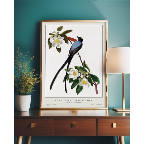Bird Vintage Illustration Bird Birds of America Vintage Accent Vintage Unique Vintage Wall Art Unframed Paper Print