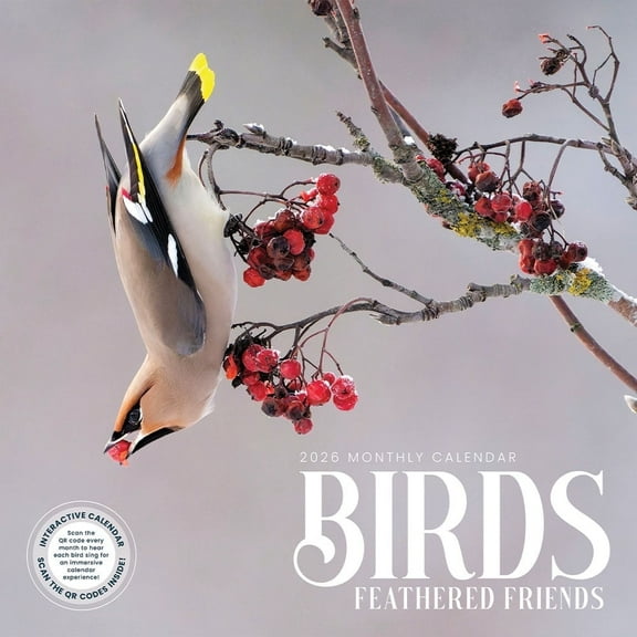 Bird Wall Calendar 2026 | 12 x 24 Birds: Feathered Friends 16 Month | Marble City Press