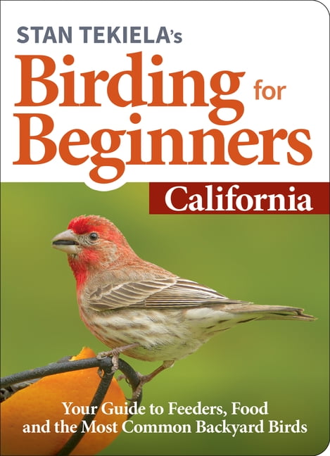 Bird-Watching Basics: Stan Tekiela's Birding for Beginners: California: Your Guide to Feeders, Food, and the Most Common Backyard Birds (Paperback)