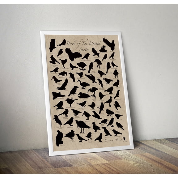 Bird Watching Scratch Off North America Field Guide Unframed Paper Poster 8x10in