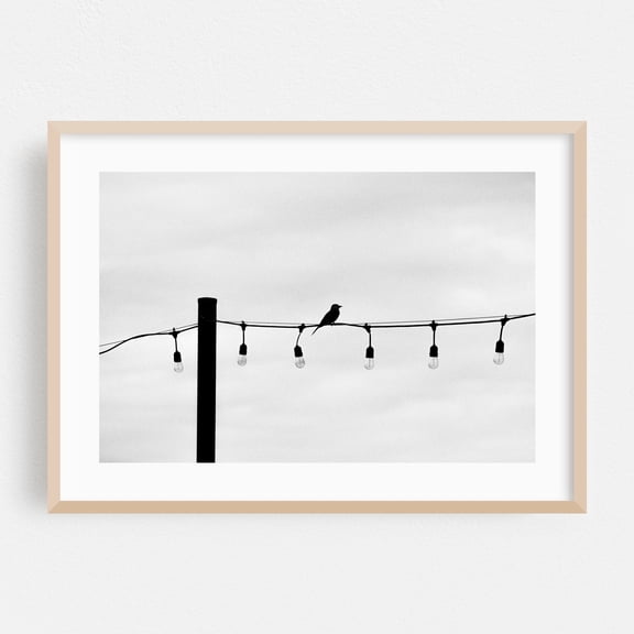 Bird on a Wire - Guanacaste Province Costa Rica Photography Silhouette Bird Minimalist Black and White Abstract Industrial Moody Oak Framed Wall Art Print 24 x 36 inches