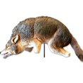 thumbnail image 1 of Bird-X 3-D Coyote Model To Repel Animals, 1 of 3
