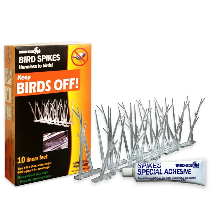 Bird-X Plastic Bird Deterrent Spikes, 10ft Kit with adhesive (SP
