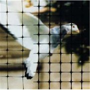 Bird-X Structural, Heavy Duty BirdNet 1/2" 200 ft X 14 ft