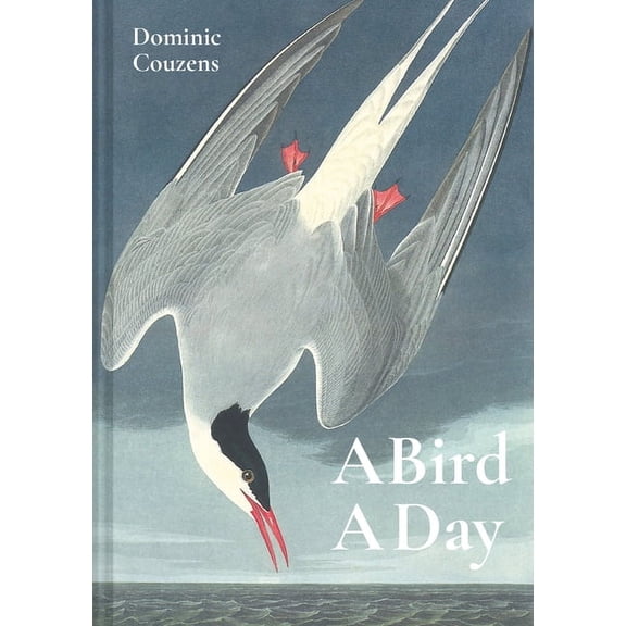 Bird a Day, (Hardcover)