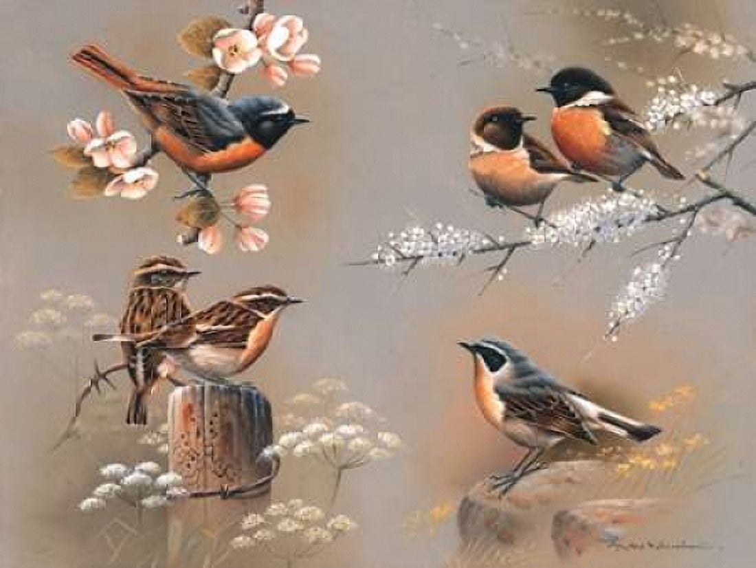 Bird composition Canvas Art - Jan Weenink (22 x 28)