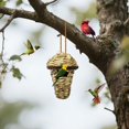 thumbnail image 1 of Bird for Outdoor Garden | Straw Handmade Woven Gourd Bird Home for Pet Birds and Gardeners, 1 of 3