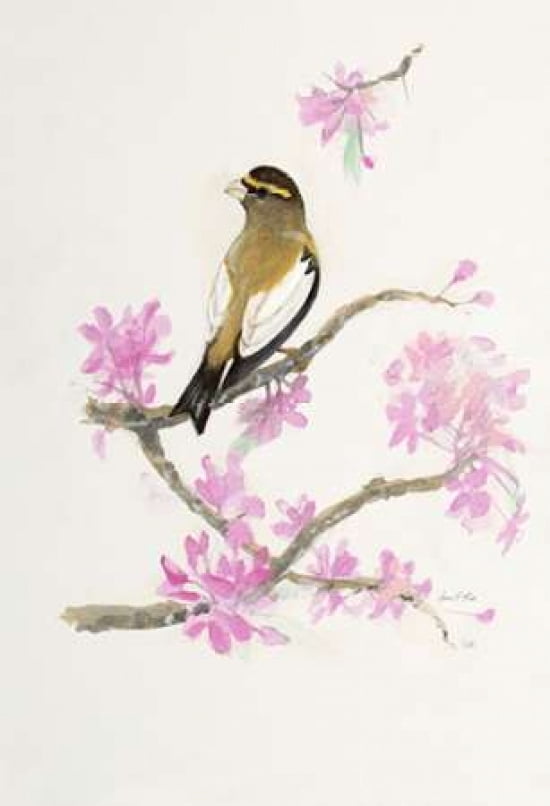 Bird in Brown Canvas Art - Arnie FISK (20 x 28)